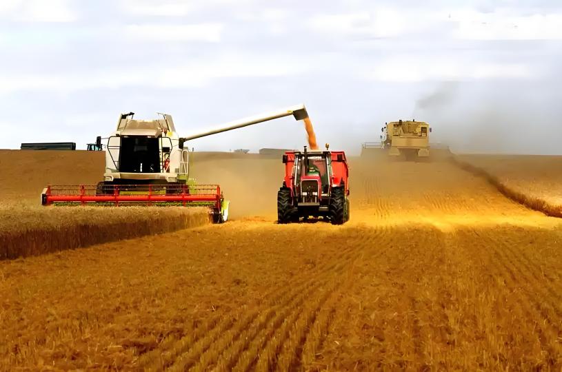 68db252881a46.jpg 2(1).jpg