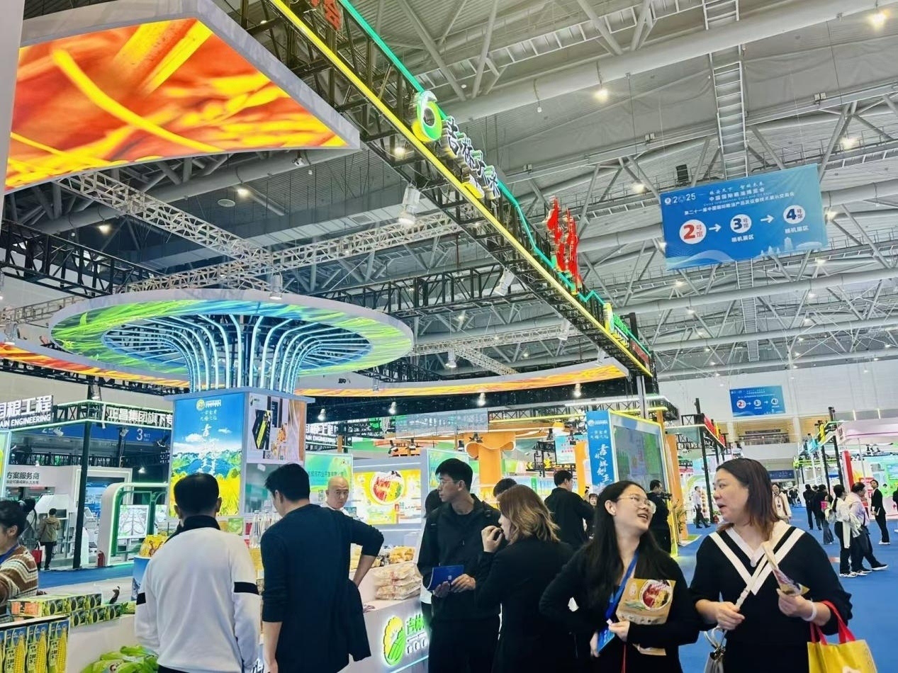 6908031bd28c3.jpg 6908031bd28c3.jpg